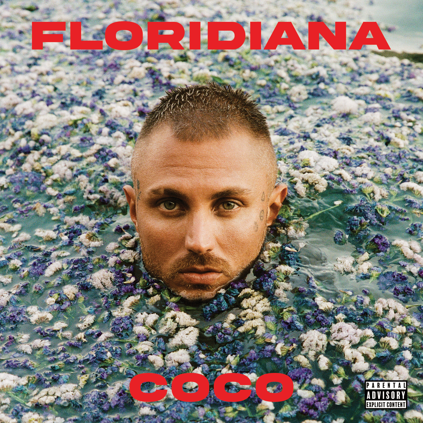 CoCo Floridiana cover
