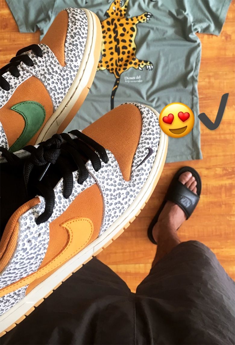 nike dunk atmos on feet